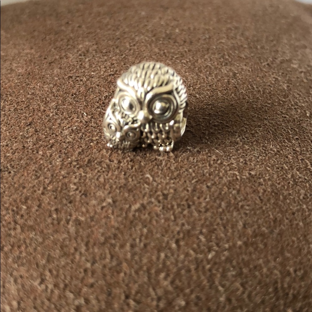 Pandora owls Silver charm